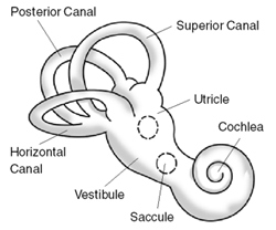 Illustration A